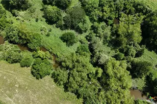 750 Lassman Rd, Goliad, TX 77963 - Photo 13
