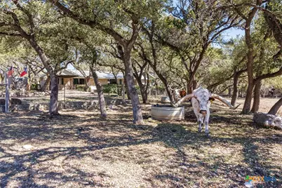 118 Buffalo Springs Road, New Braunfels, TX 78132 - Photo 5