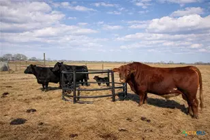 9439 Jeske Rd, Needville, TX 77461 - Photo 47