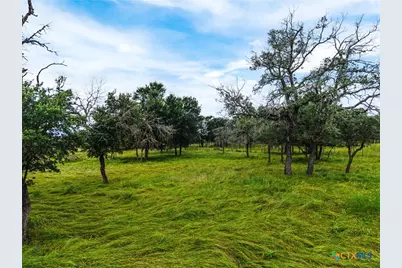 8089 E Fm 580, Kempner, TX 76539 - Photo 41
