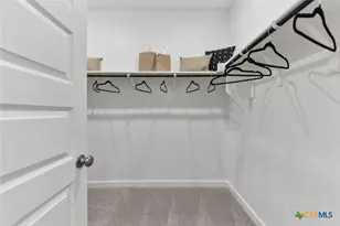 1149 SE Wild Leaf Way, San Marcos, TX 78666 - Photo 9