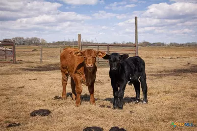 9439 Jeske Rd, Needville, TX 77461 - Photo 45