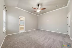 3526 Leaning Tree Cv, Belton, TX 76513 - Photo 17