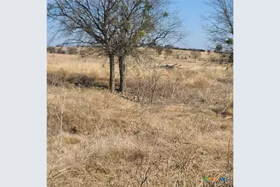15885 S State Highway 36, Gatesville, TX 76528 - Photo 7