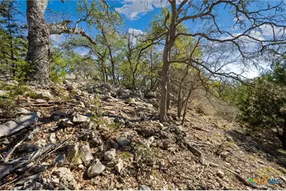 913 Cross Oak, New Braunfels, TX 78132 - Photo 5