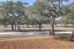 741 Fairway Dr, Spring Branch, TX 78070 - Photo 5