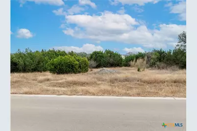 220 Lantana Bud Trail, Liberty Hill, TX 78642 - Photo 5