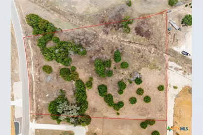 220 Lantana Bud Trail, Liberty Hill, TX 78642 - Photo 7