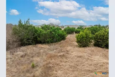 220 Lantana Bud Trail, Liberty Hill, TX 78642 - Photo 11