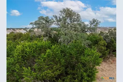 220 Lantana Bud Trail, Liberty Hill, TX 78642 - Photo 9