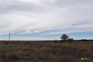 3619 N Fm 1702, Hamilton, TX 76531 - Photo 3