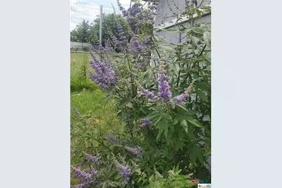 1217 Craig Street, Copperas Cove, TX 76522 - Photo 35