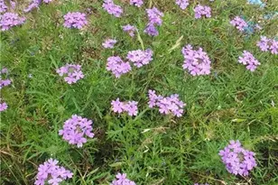 1217 Craig St, Copperas Cove, TX 76522 - Photo 37