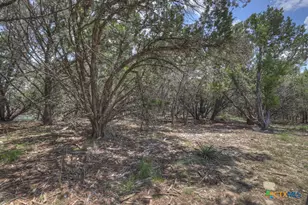 120 Sierra Way, Canyon Lake, TX 78133 - Photo 23