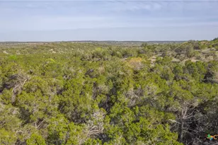 Tbd Bell Springs Rd, Dripping Springs, TX 78620 - Photo 11