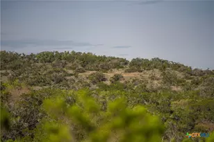 Tbd Bell Springs Rd, Dripping Springs, TX 78620 - Photo 15