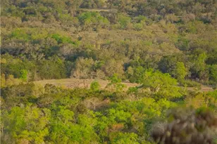 Tbd Bell Springs Rd, Dripping Springs, TX 78620 - Photo 29