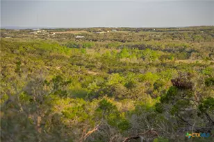 Tbd Bell Springs Rd, Dripping Springs, TX 78620 - Photo 9