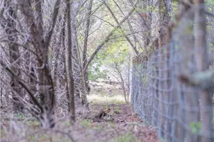 Tbd Bell Springs Rd, Dripping Springs, TX 78620 - Photo 41