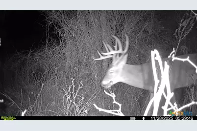 000 McLennan Road, Troy, TX 76579 - Photo 29