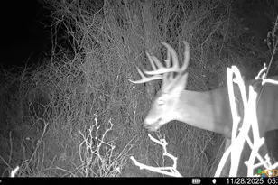 000 McLennan Rd, Troy, TX 76579 - Photo 29