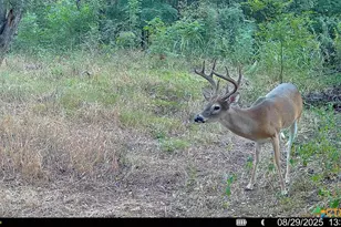 000 McLennan Rd, Troy, TX 76579 - Photo 33