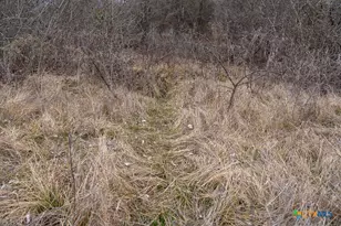 000 McLennan Rd, Troy, TX 76579 - Photo 13