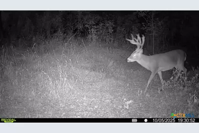 000 McLennan Road, Troy, TX 76579 - Photo 31