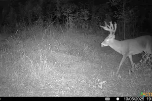 000 McLennan Rd, Troy, TX 76579 - Photo 31