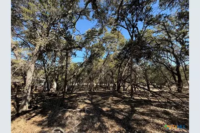 618 W Clark Street, Canyon Lake, TX 78133 - Photo 15