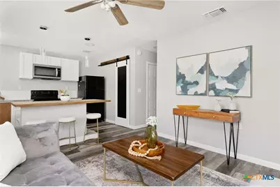 1848 W Bridge Street, New Braunfels, TX 78130 - Photo 7