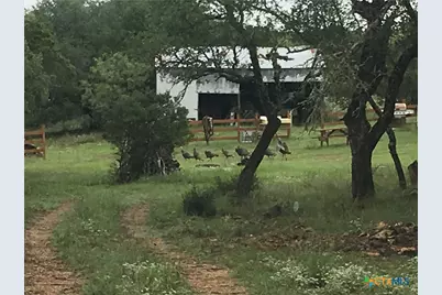 1595 Sky Ridge Road, Lampasas, TX 76550 - Photo 3