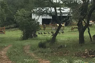 1595 Skyridge Rd, Lampasas, TX 76550 - Photo 3