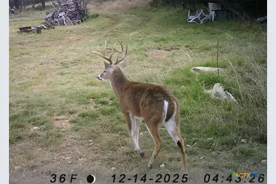 1595 Sky Ridge Road, Lampasas, TX 76550 - Photo 29