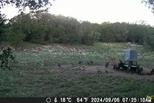 1595 Skyridge Rd, Lampasas, TX 76550 - Photo 25