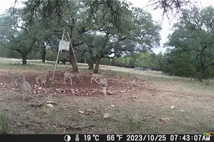 1595 Skyridge Rd, Lampasas, TX 76550 - Photo 27