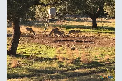 1595 Sky Ridge Road, Lampasas, TX 76550 - Photo 31