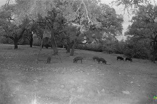 1595 Skyridge Rd, Lampasas, TX 76550 - Photo 23