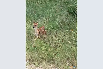 1645 Blueridge Drive, Canyon Lake, TX 78133 - Photo 11