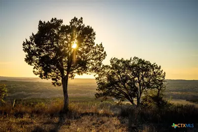 1829 Paradise Parkway, Canyon Lake, TX 78133 - Photo 3