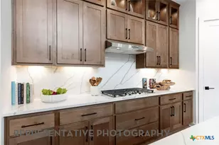 113 Gazelle Point, Cibolo, TX 78108 - Photo 5