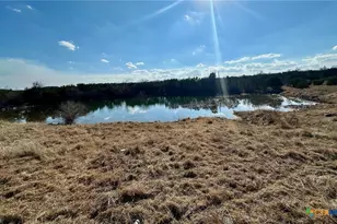 1950 Co Rd 299, Gatesville, TX 76528 - Photo 7