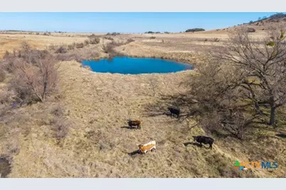Tbd County Road 139, Gatesville, TX 76528 - Photo 19