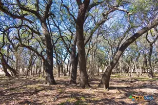 Tbd County Road 139, Gatesville, TX 76528 - Photo 15