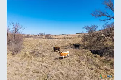 Tbd County Road 139, Gatesville, TX 76528 - Photo 39