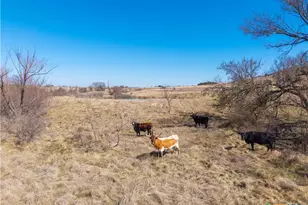 Tbd County Road 139, Gatesville, TX 76528 - Photo 39