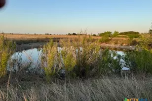 Tbd County Road 139, Gatesville, TX 76528 - Photo 5