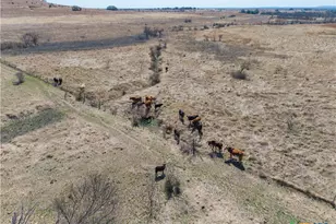 Tbd County Road 139, Gatesville, TX 76528 - Photo 35