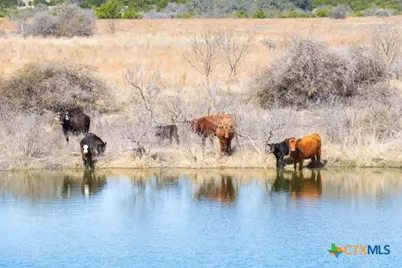 Tbd County Road 139, Gatesville, TX 76528 - Photo 17