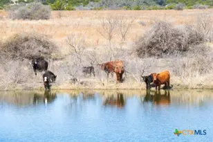 Tbd County Road 139, Gatesville, TX 76528 - Photo 17